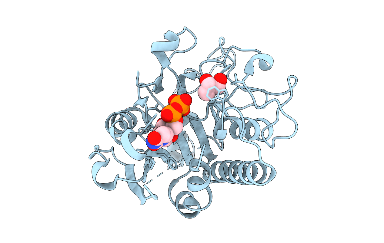 2RIX image