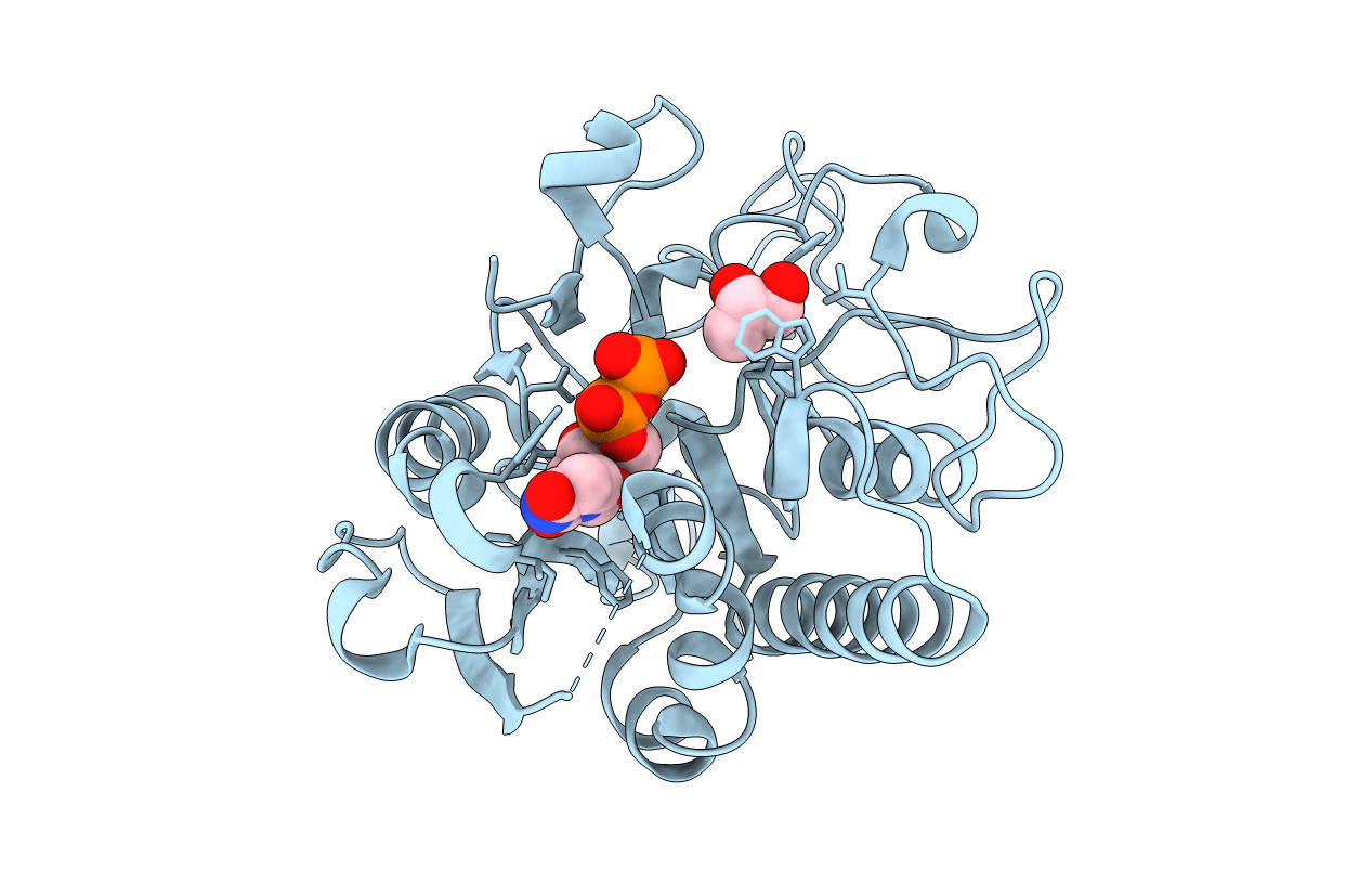 2RJ0 image