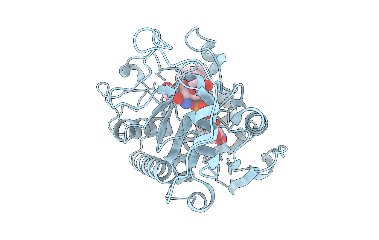 2RJ4 image
