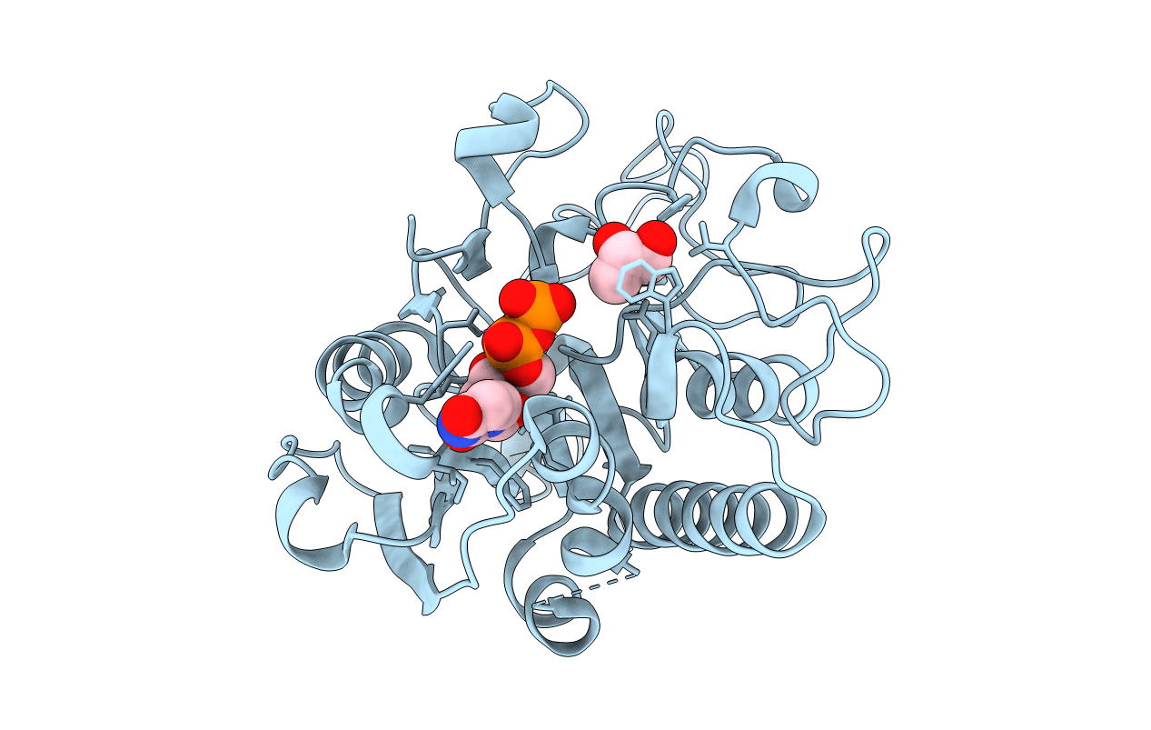 2RJ5 image