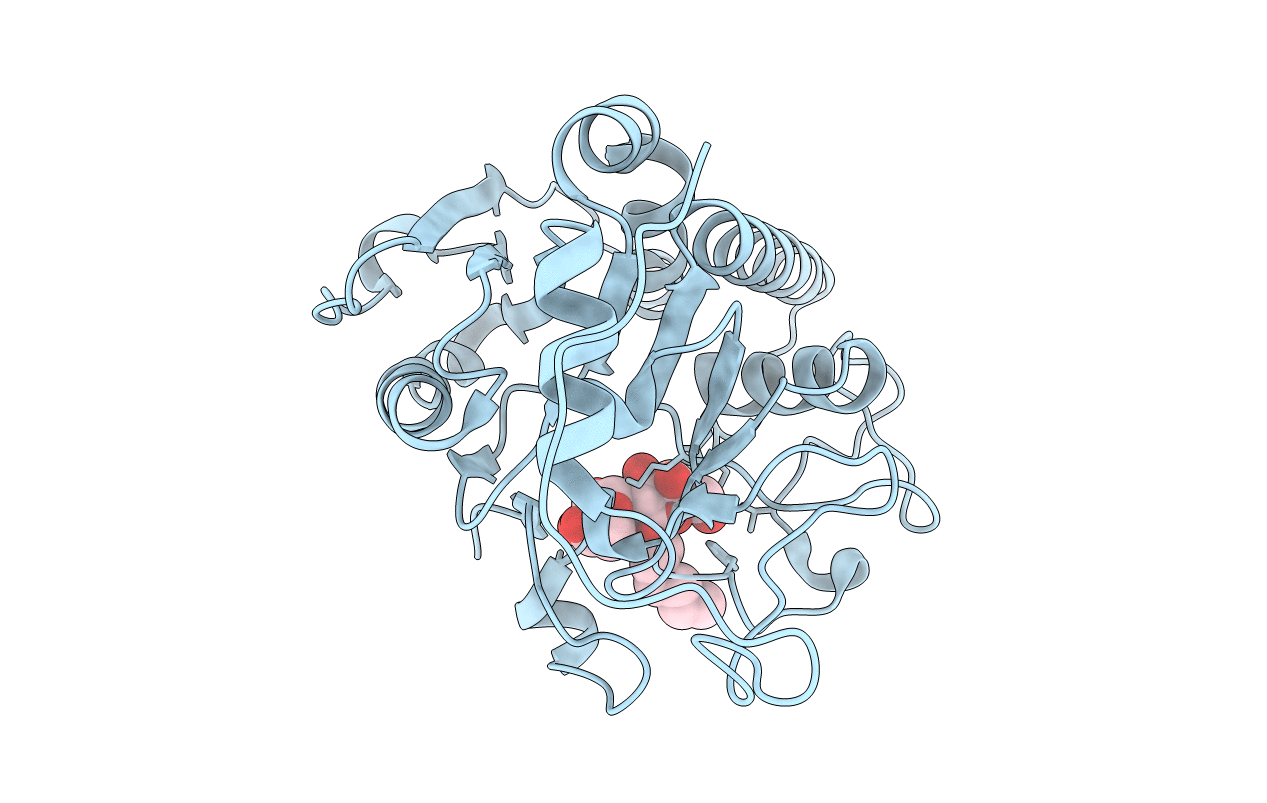 2RJ6 image