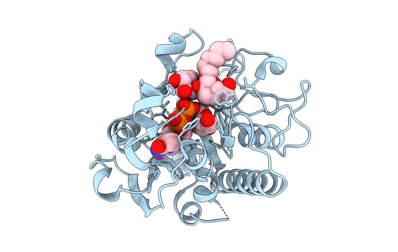 2RJ7 image