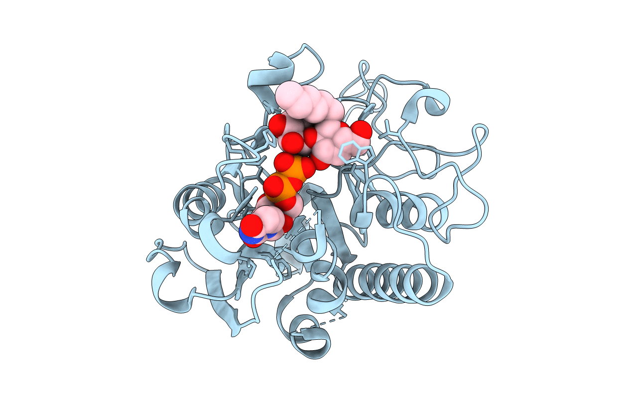2RJ8 image