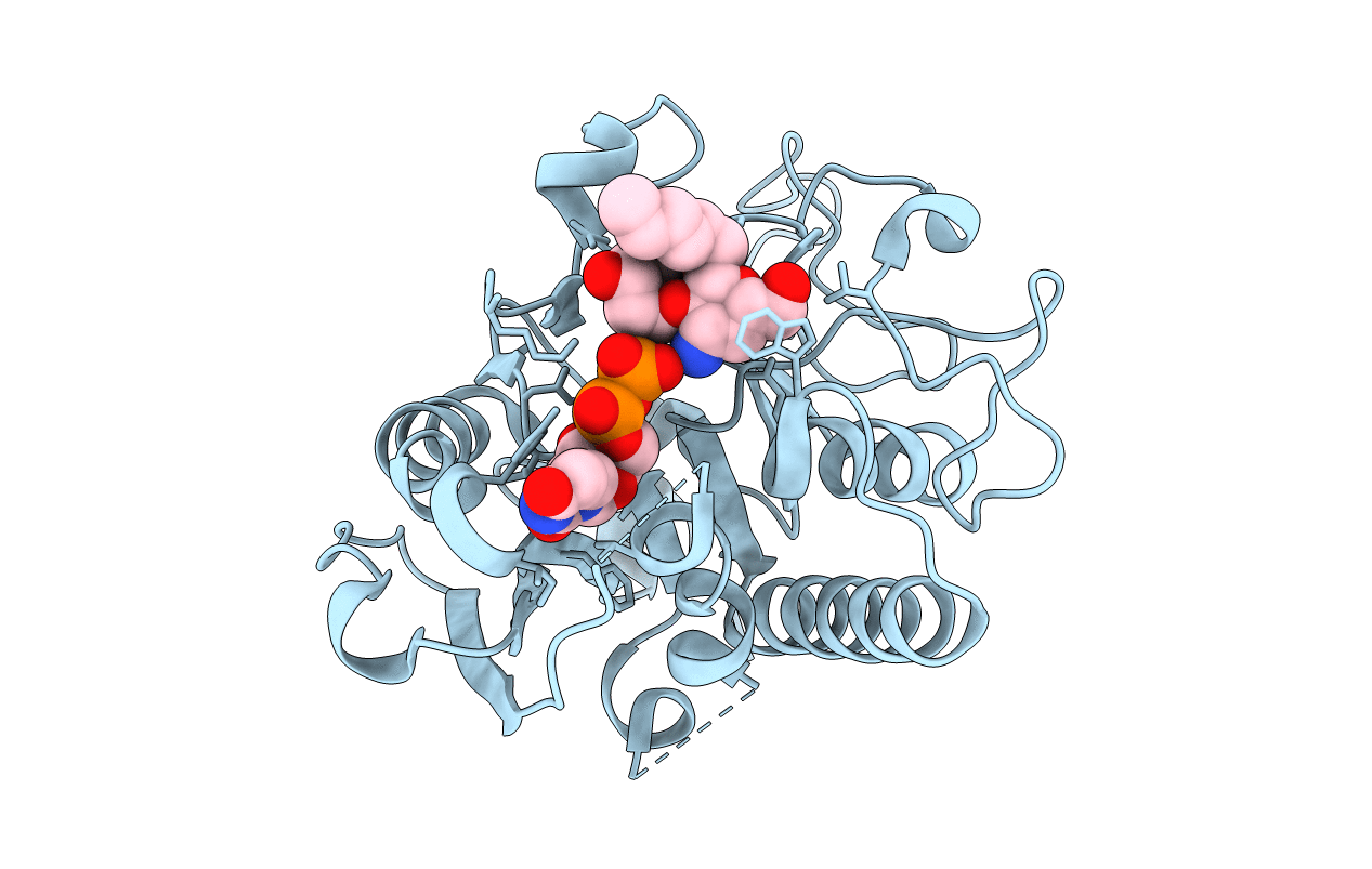 2RJ9 image