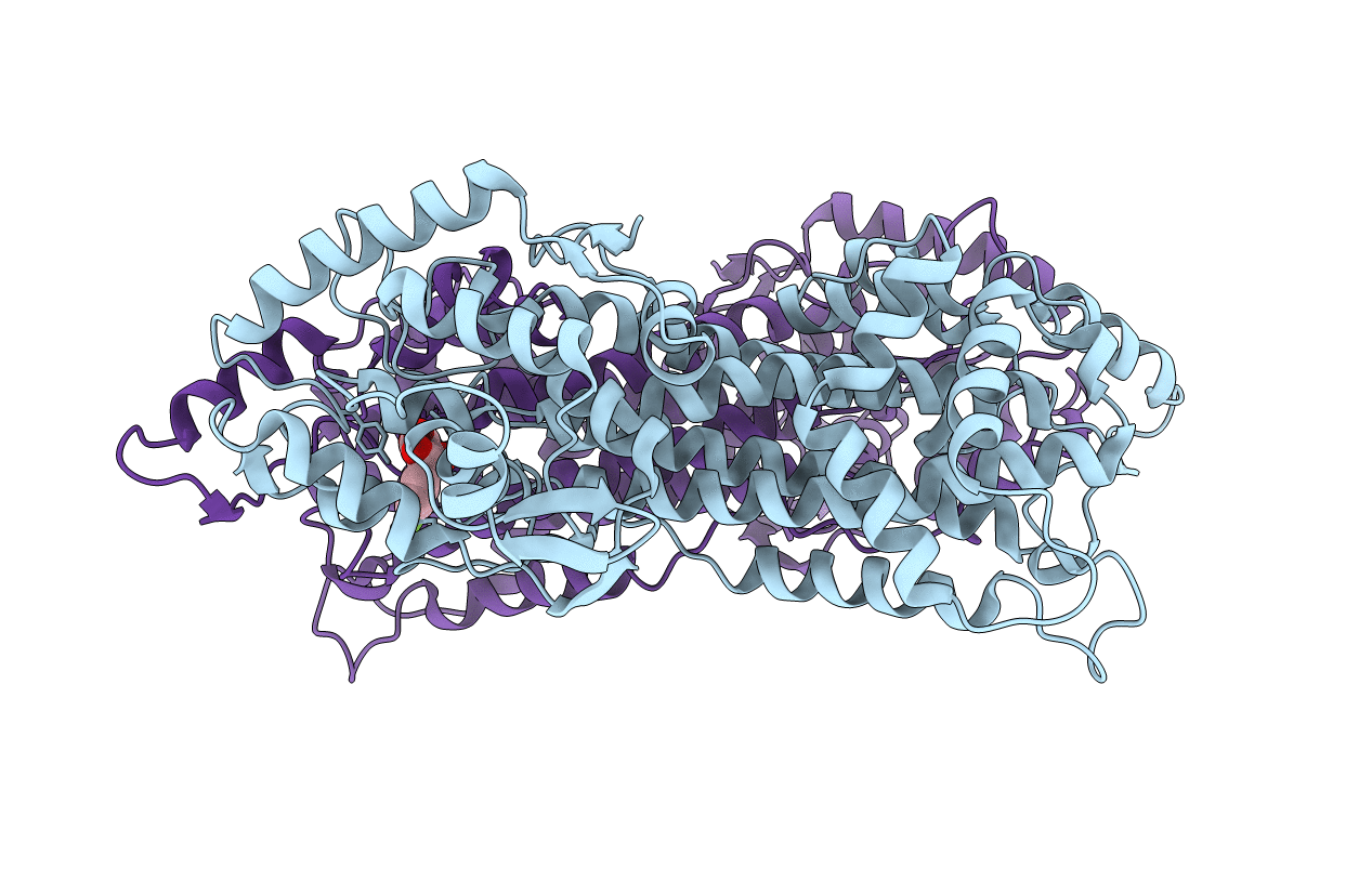 2RJR image