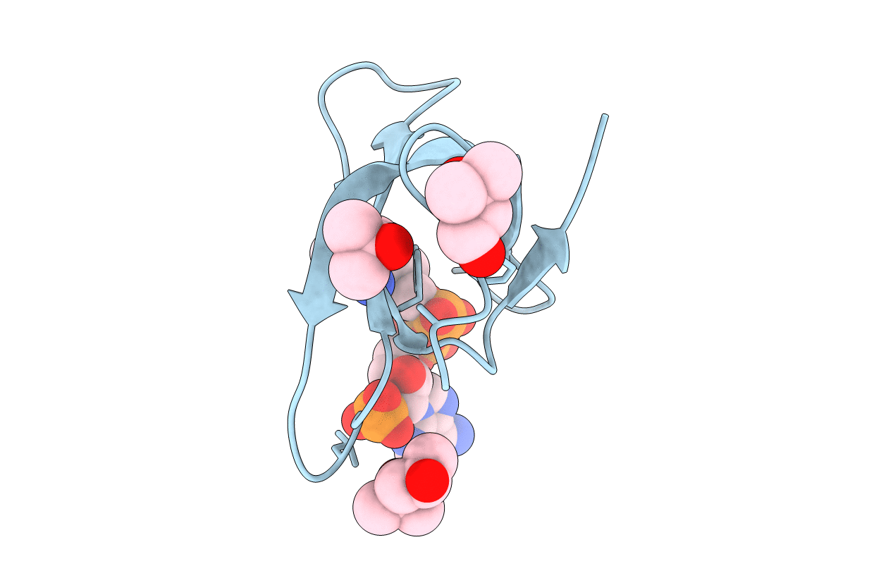 2RK2 image