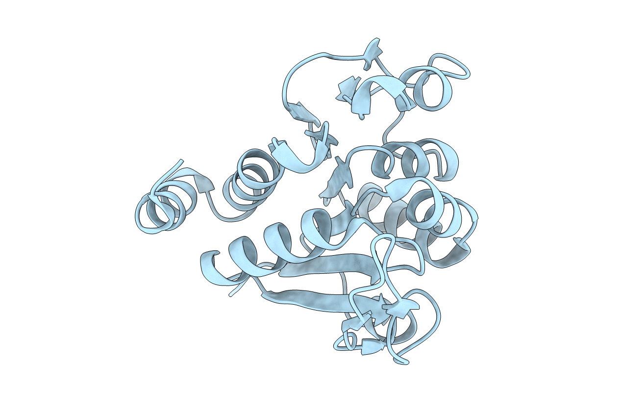 2RK6 image