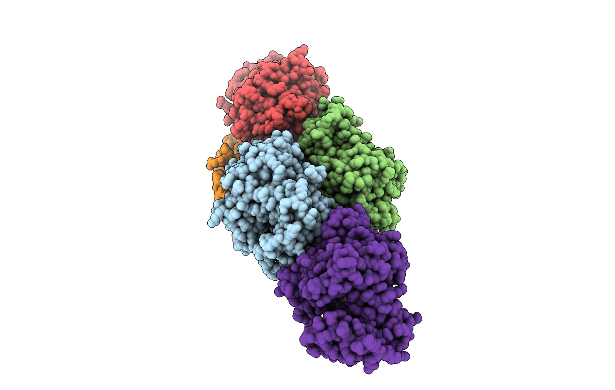 2RKB image