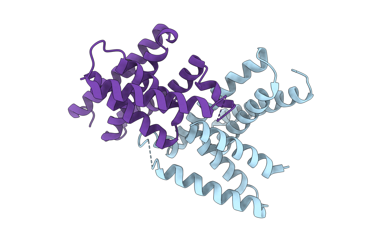 2RKK image