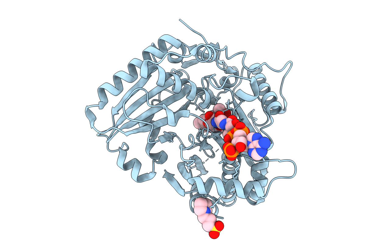 2RKV image