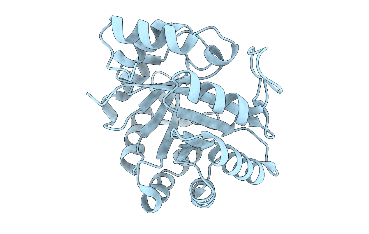 2RKX image