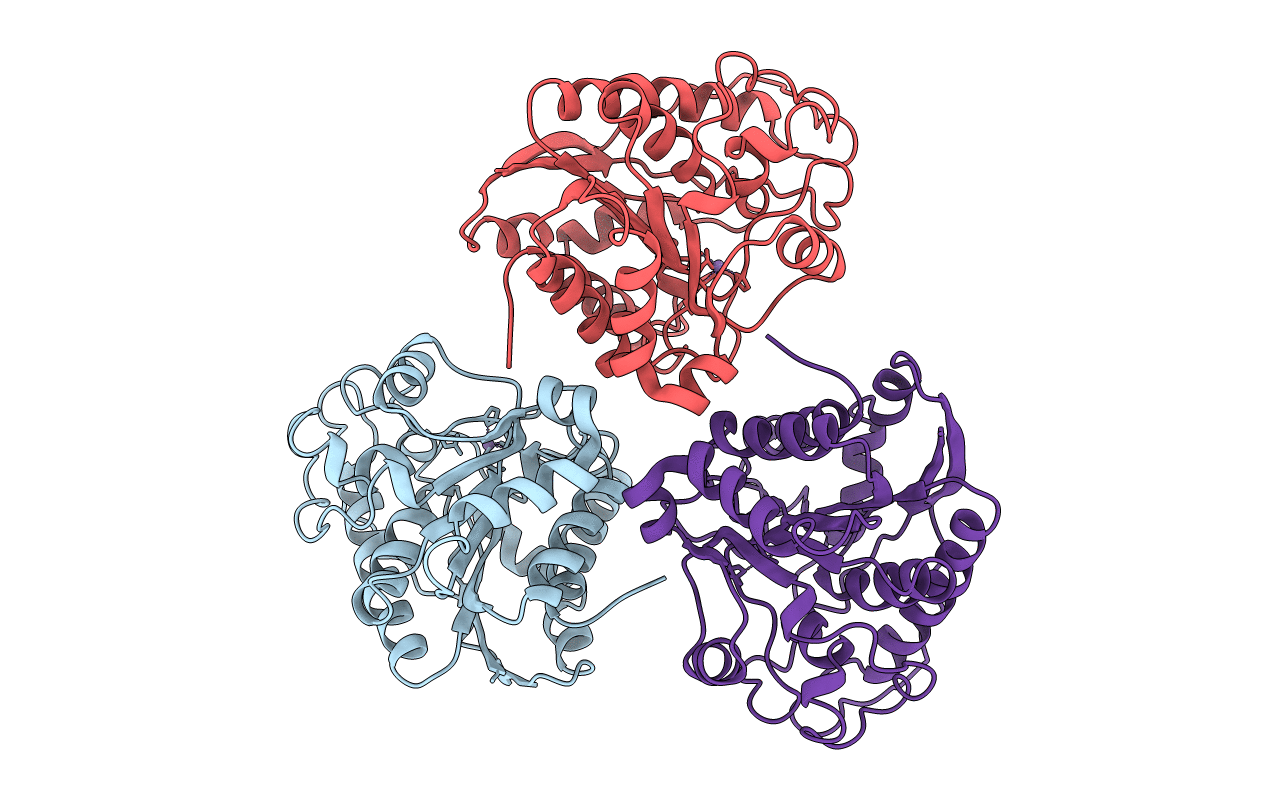 2RLA image