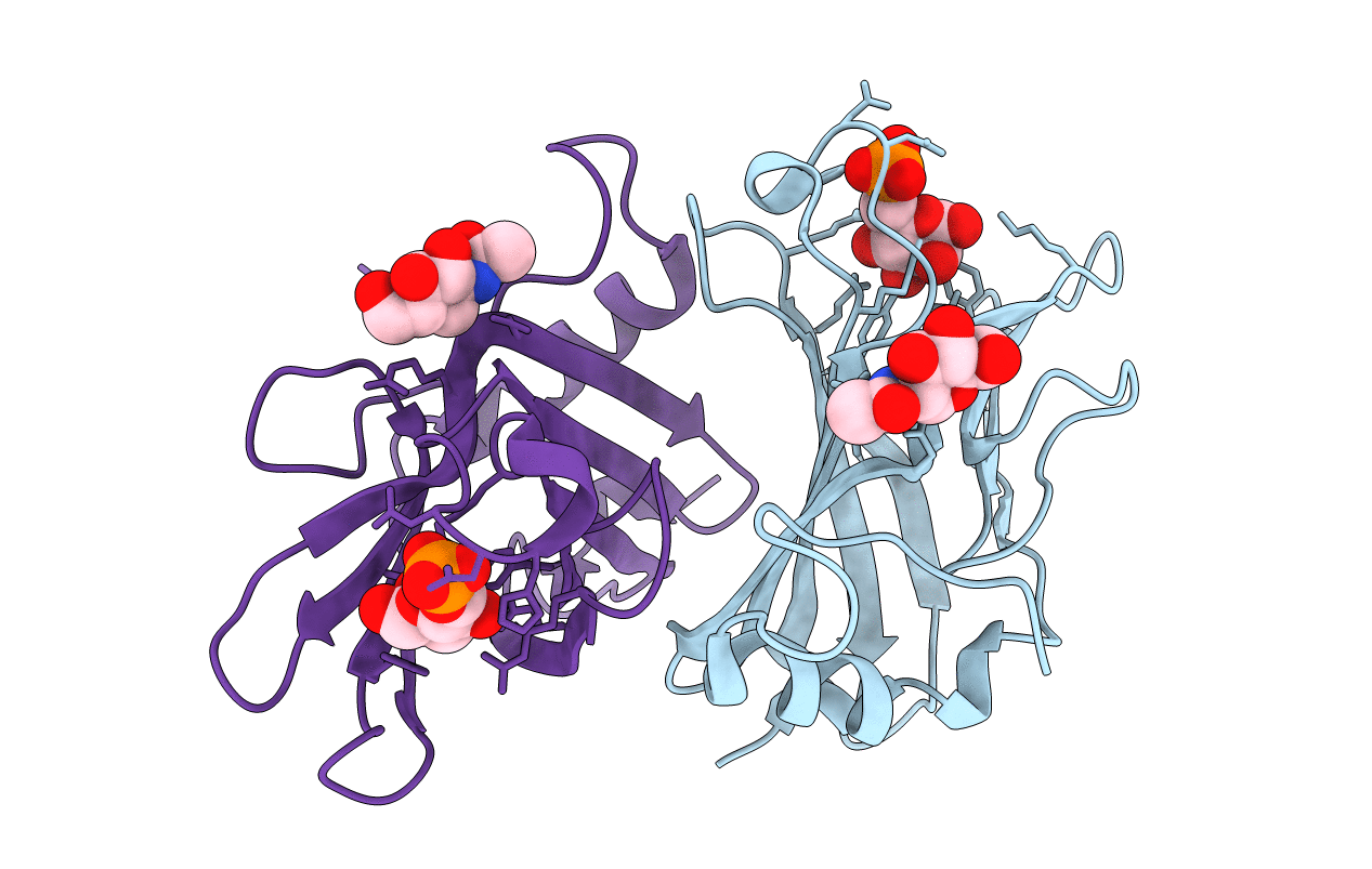 2RLB image