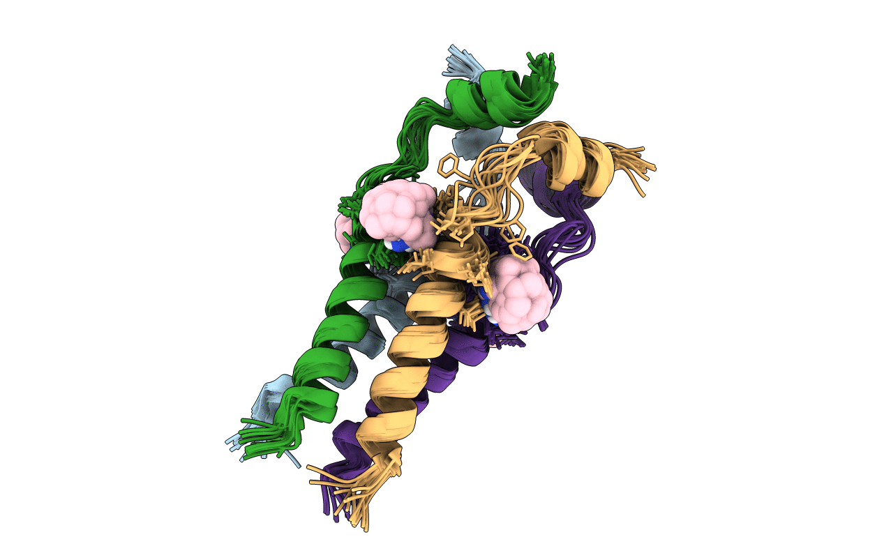 2RLF image