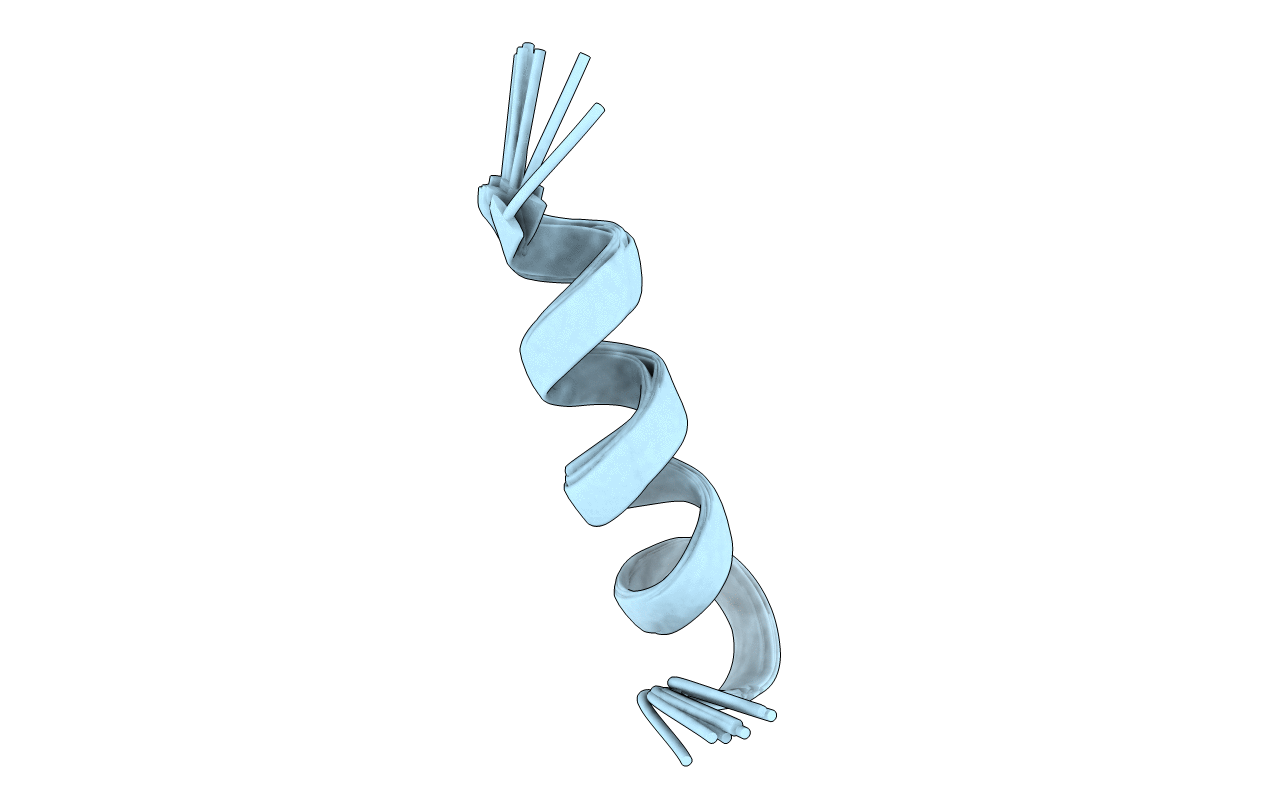 2RLG image