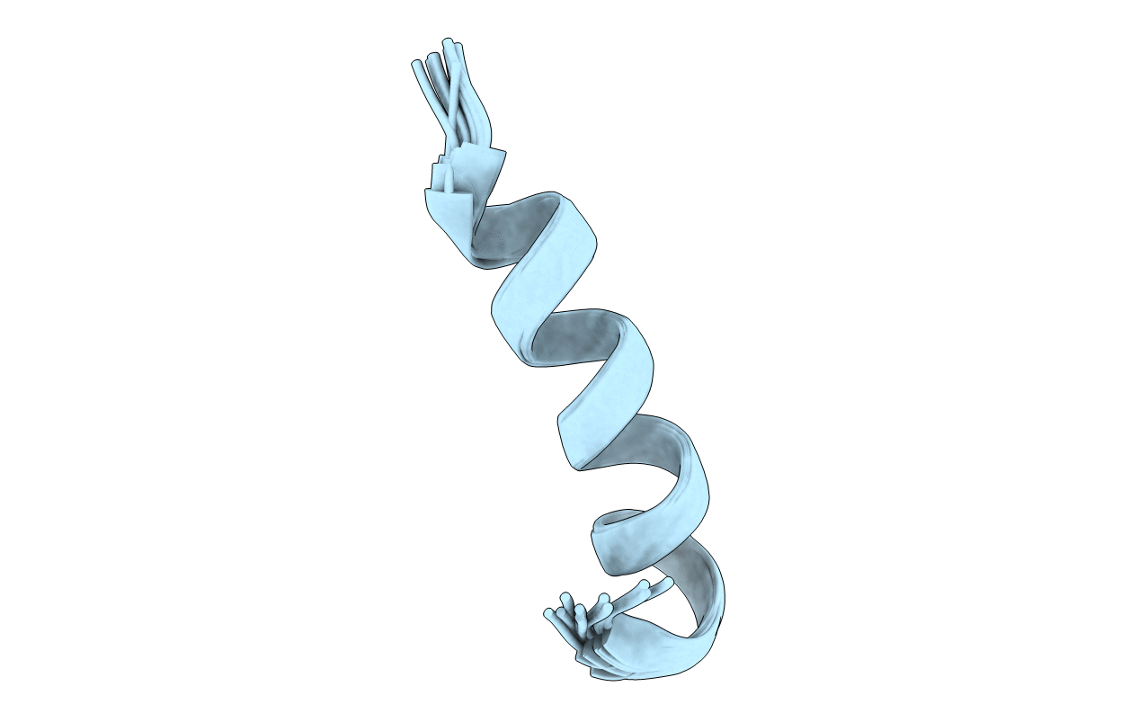 2RLH image