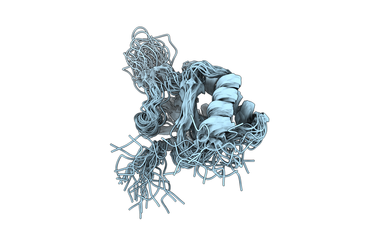 2RLI image