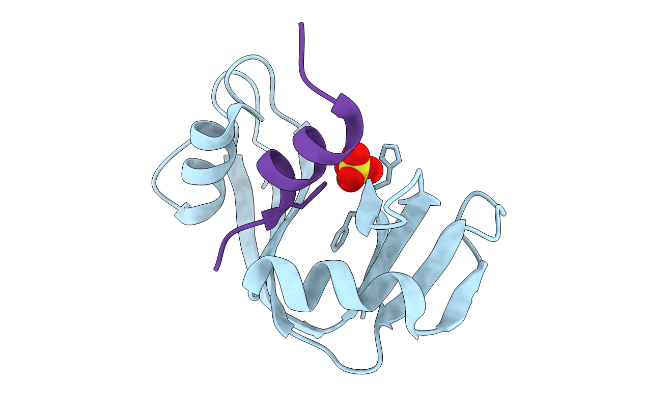 2RLN image