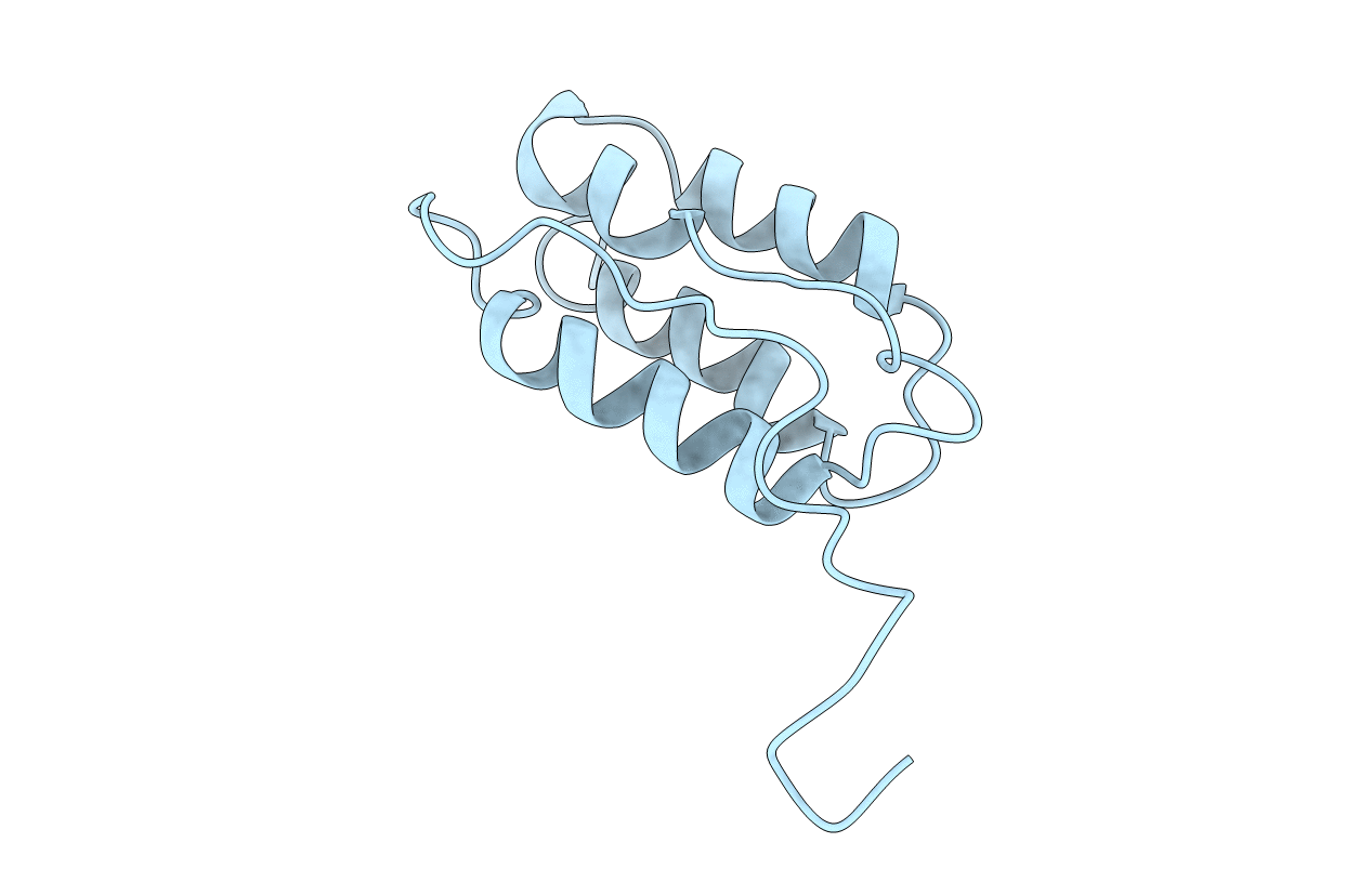 2RLT image