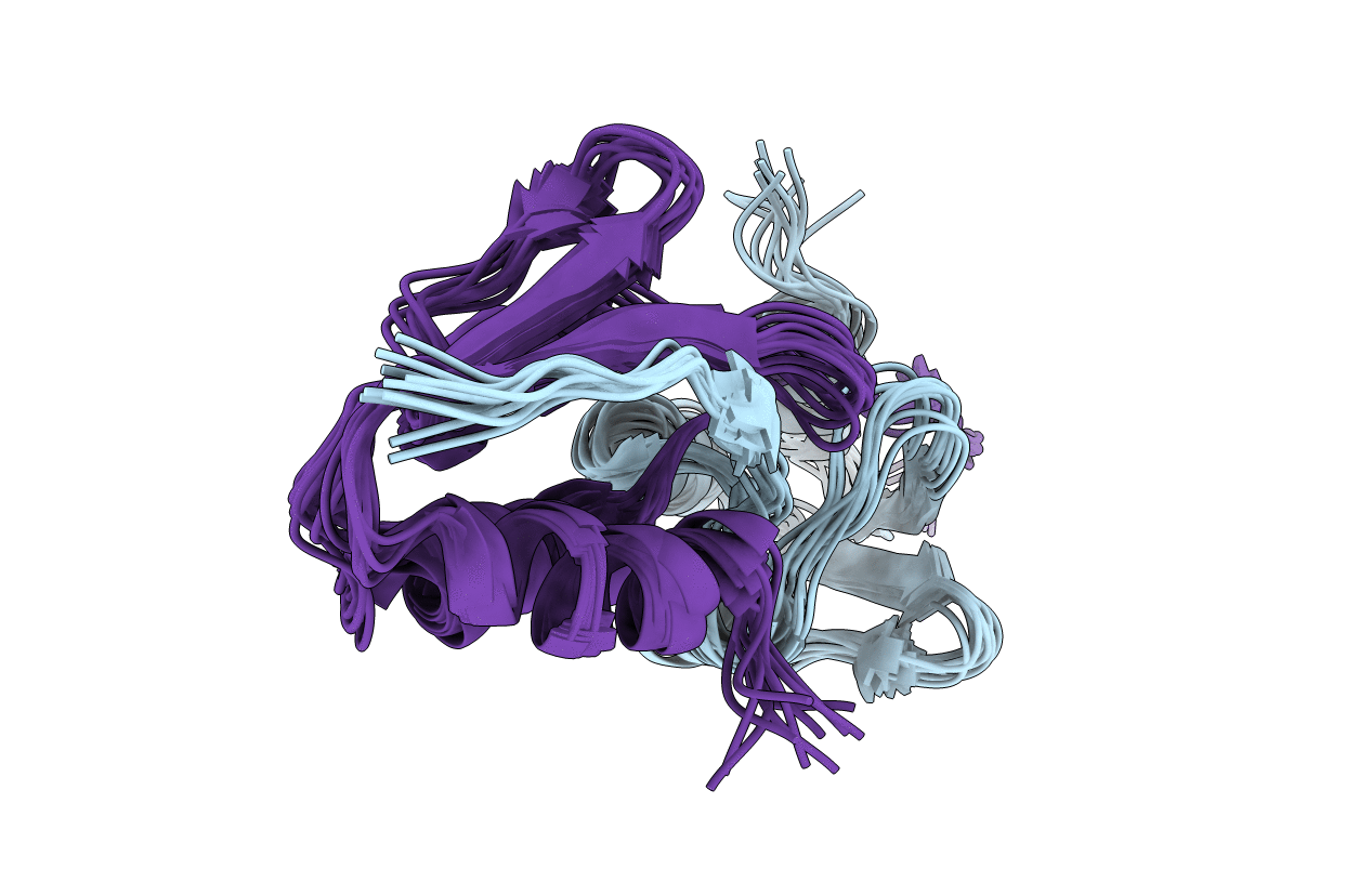 2RLZ image