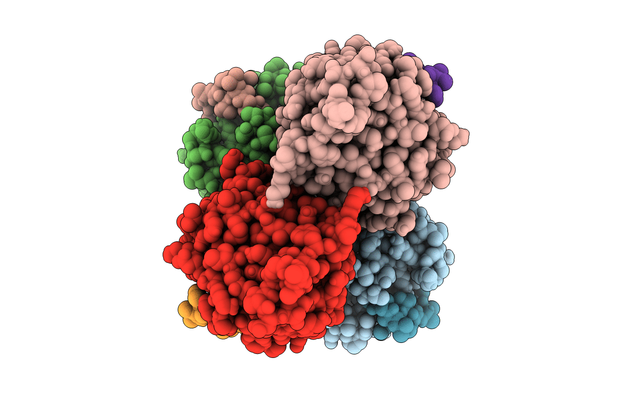 2RMC image