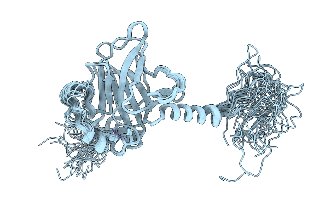 2RMN image