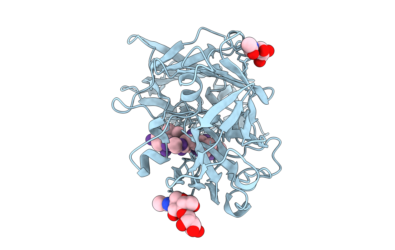 2RMP image