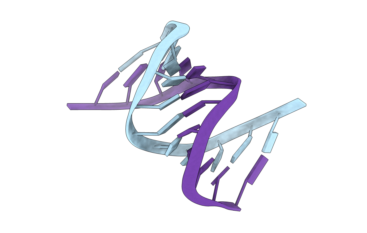 2RMQ image