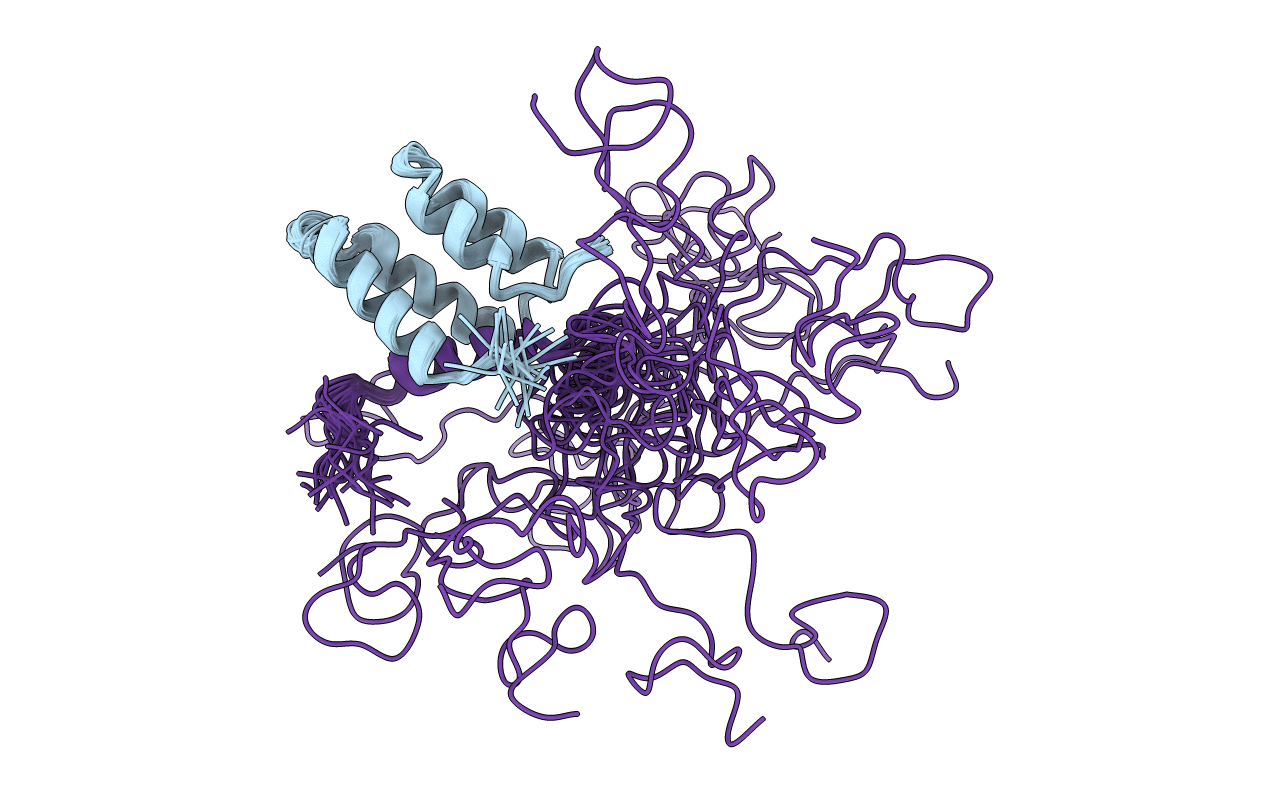 2RMS image