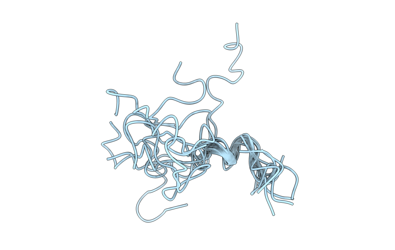 2RMV image