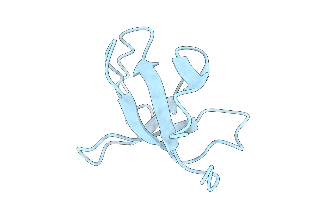 2rna image