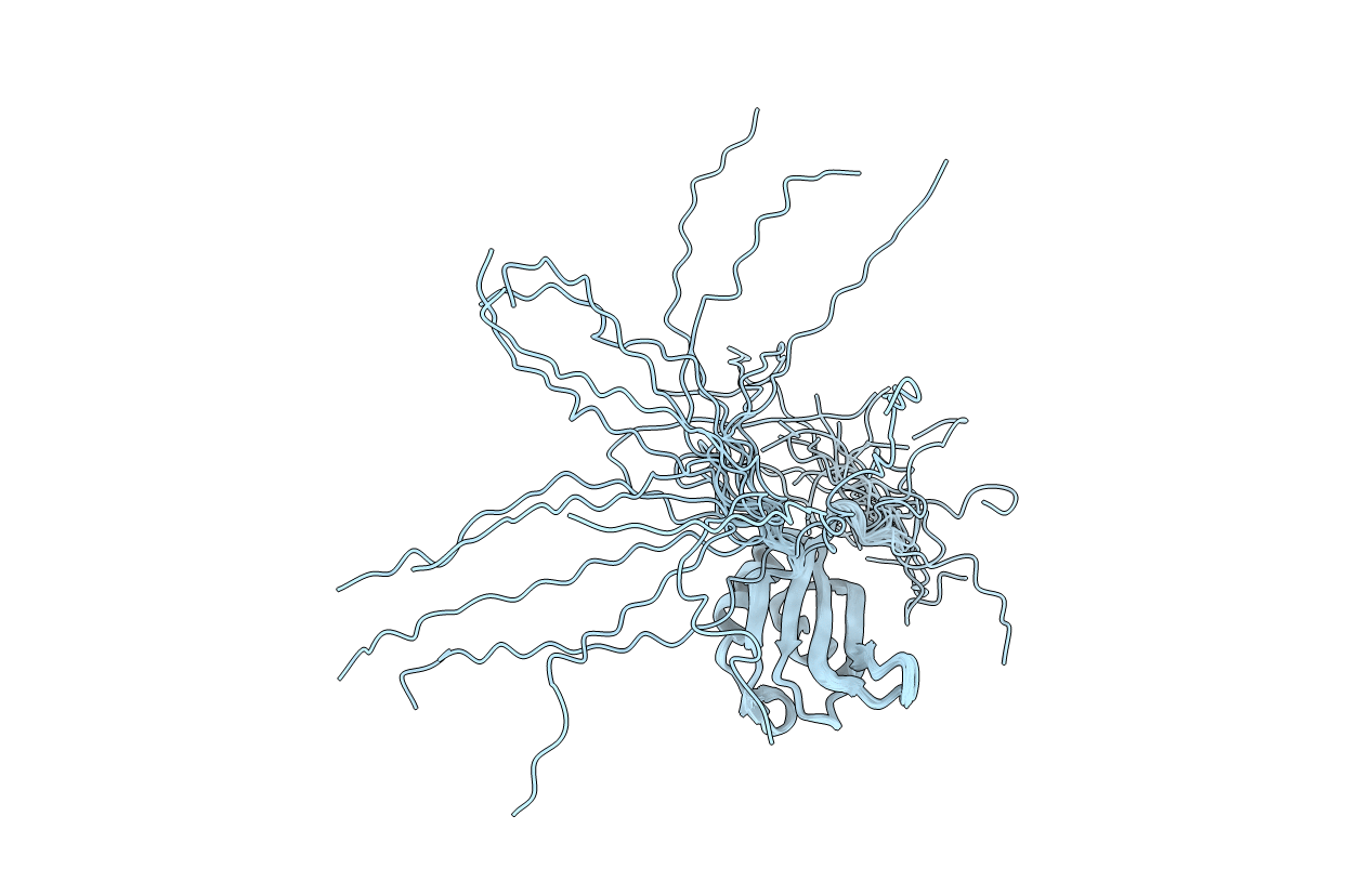 2RNE image