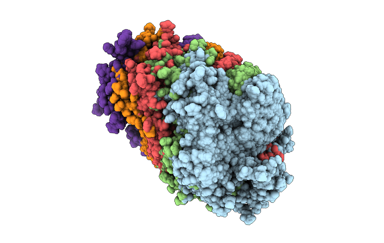 2RNM image