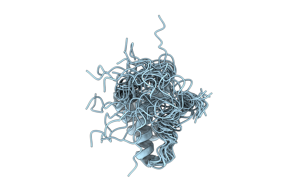 2RNO image