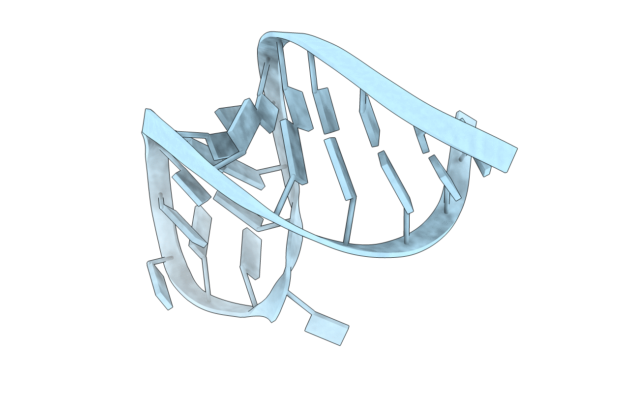 2RO2 image