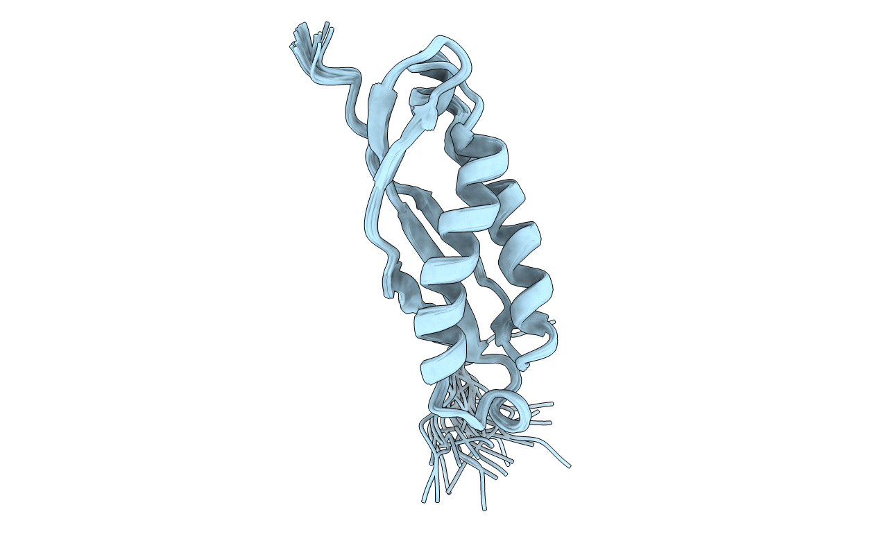 2RPB image