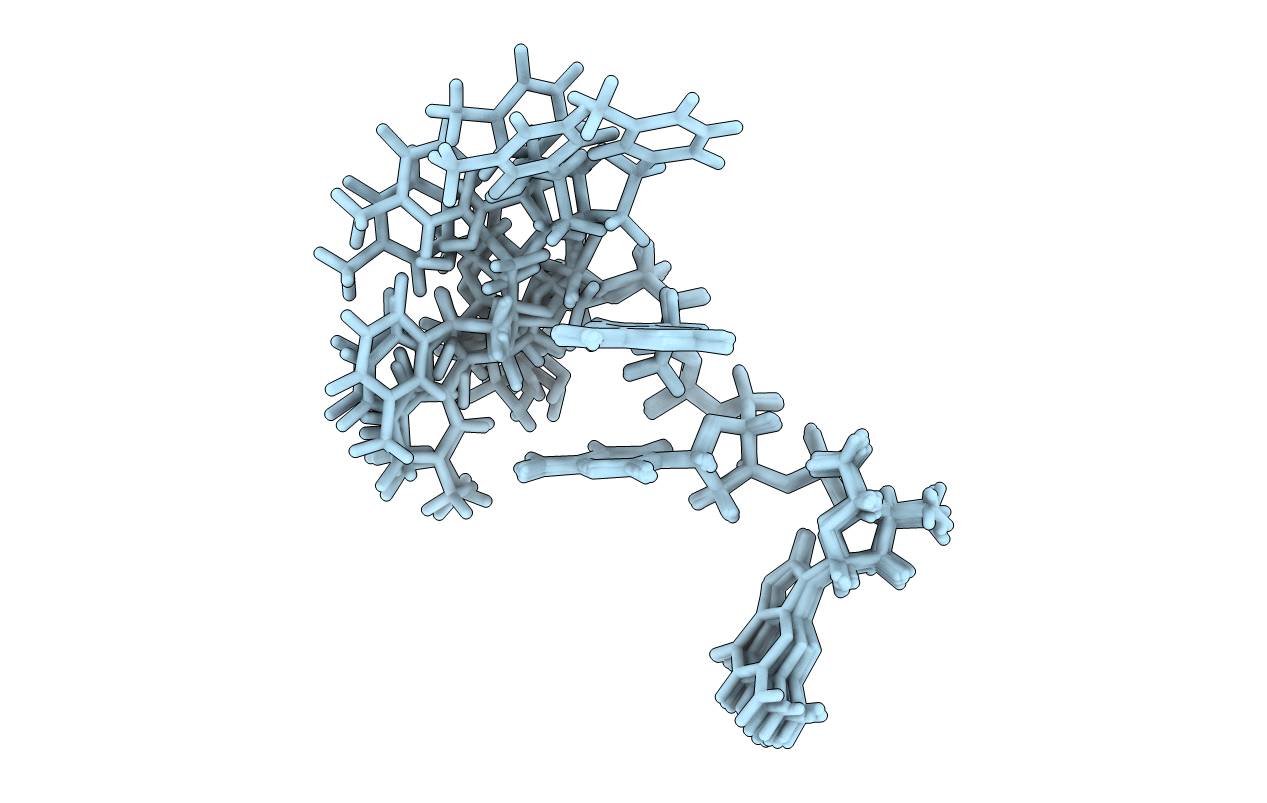 2RPE image