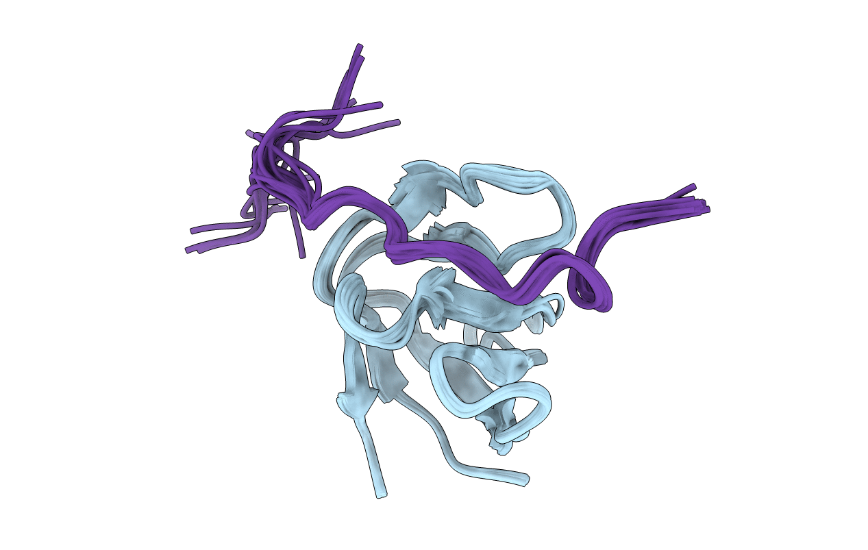 2RPN image