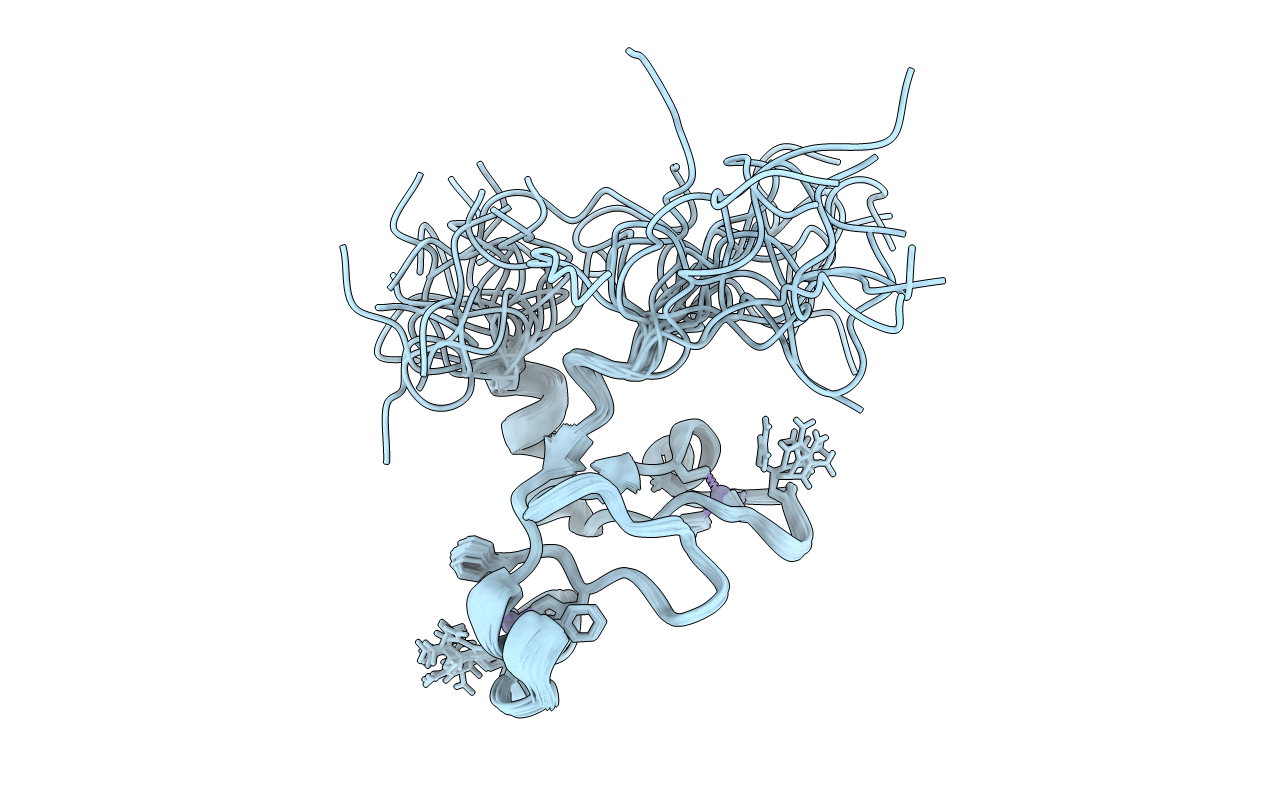2RPP image