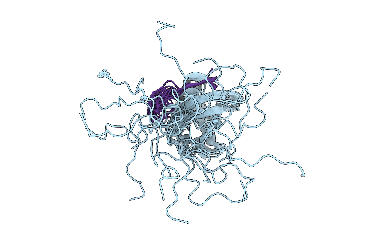2RPQ image