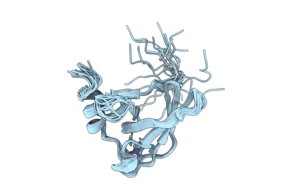 2RPR image