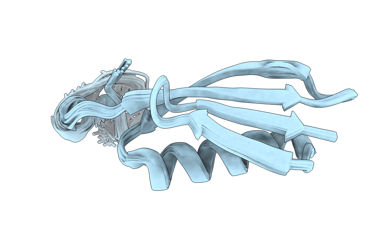 2RPV image