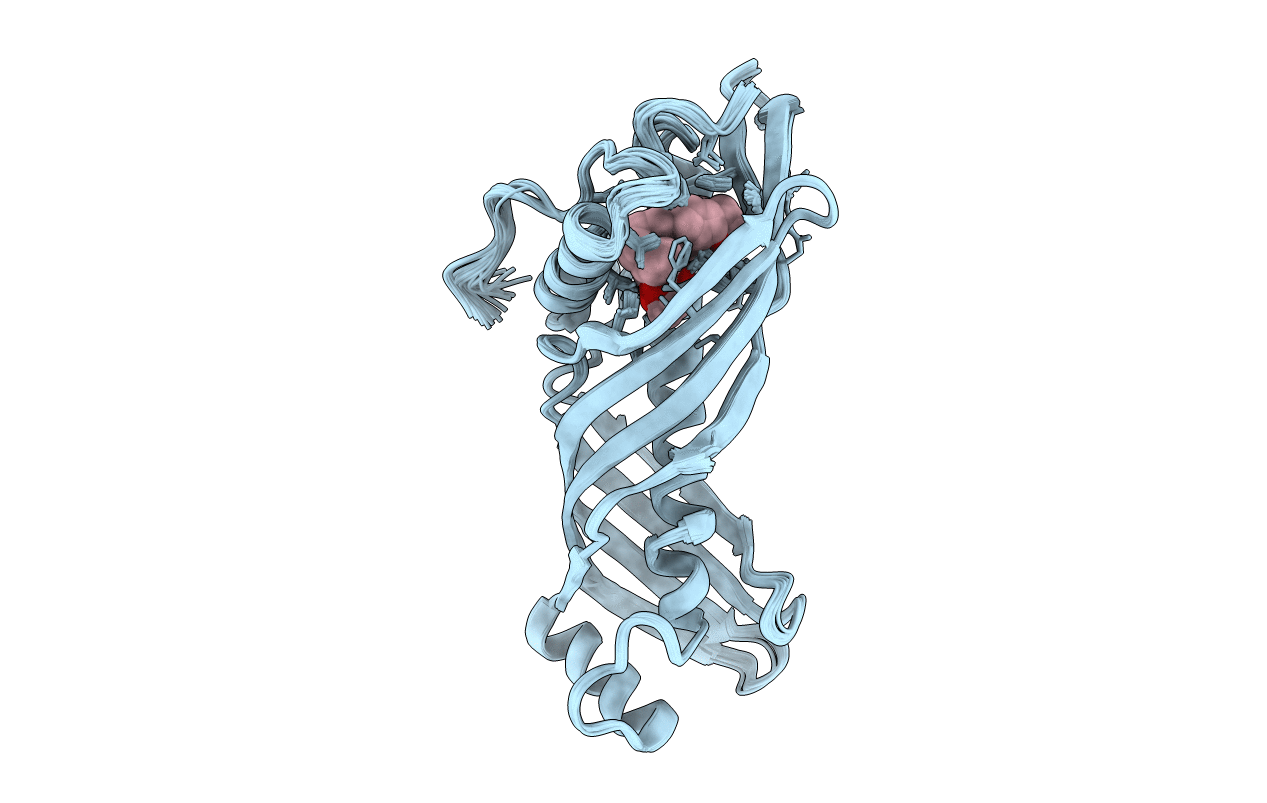 2RQF image