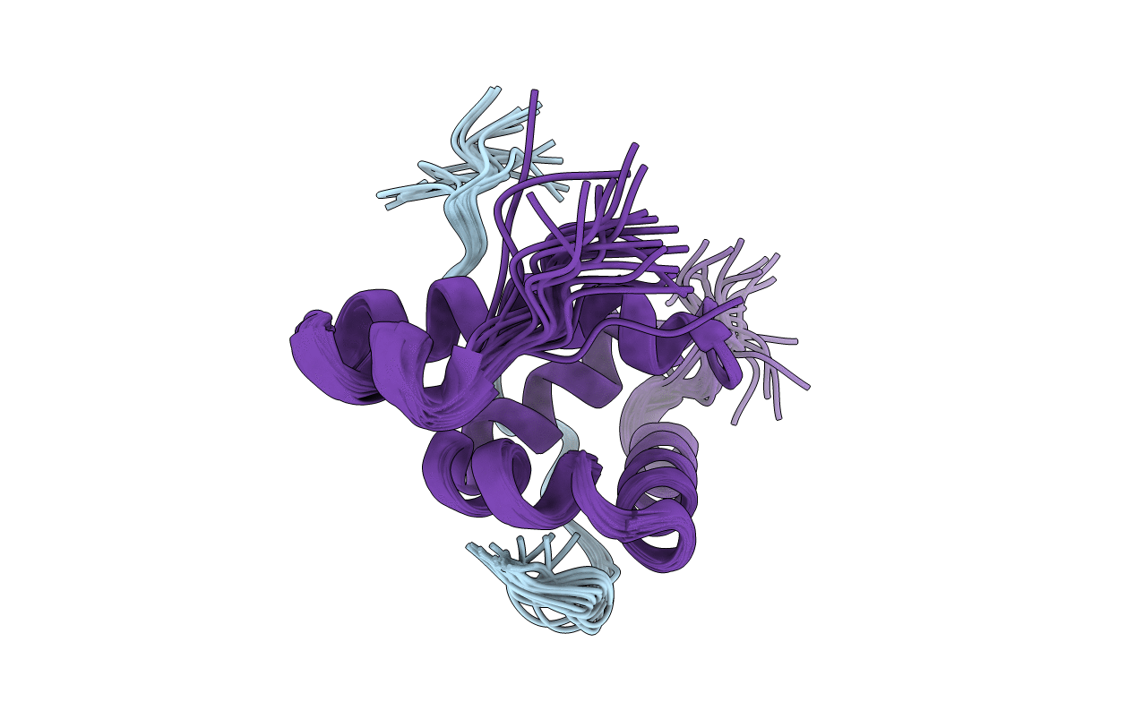 2RQG image
