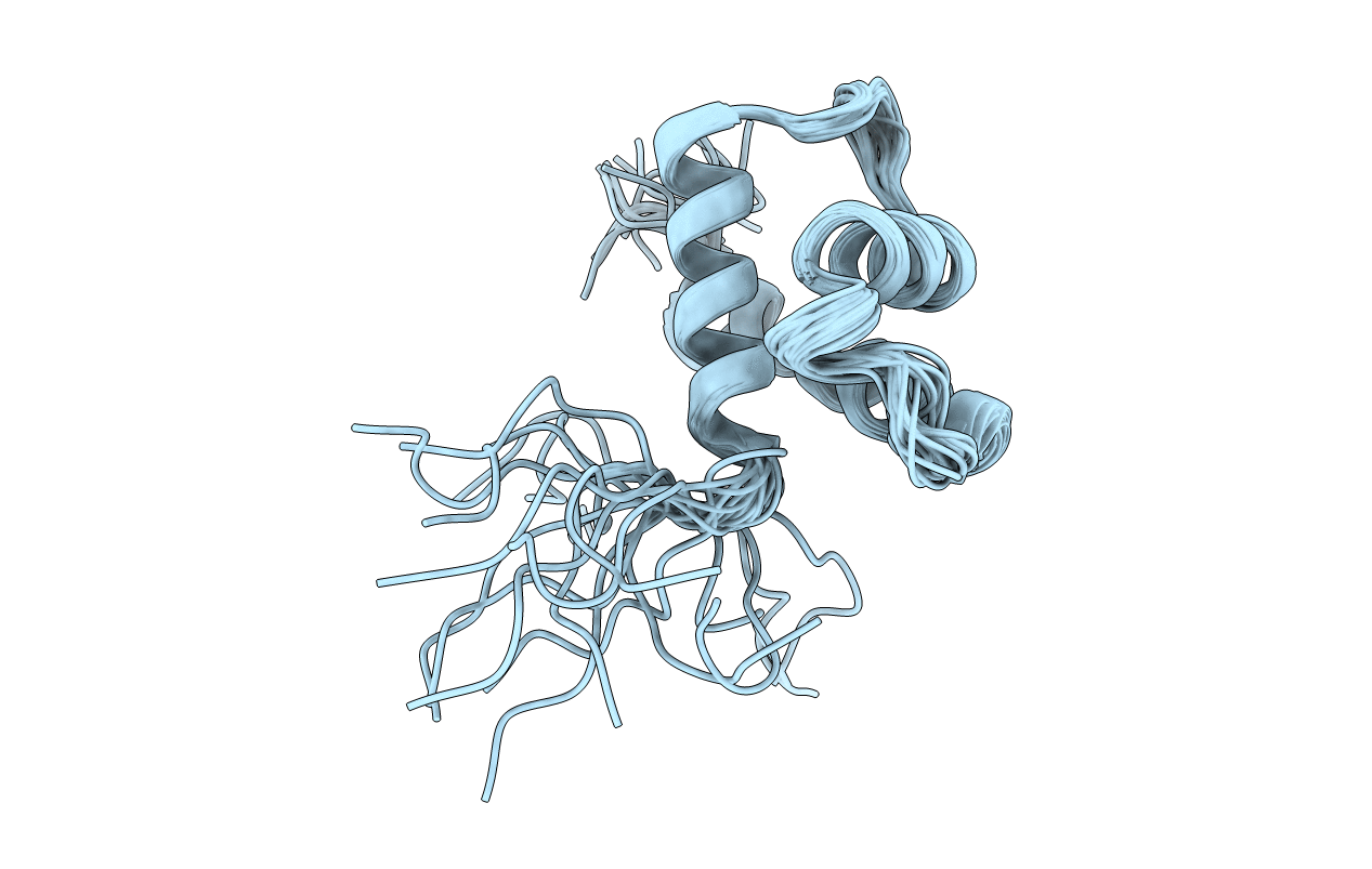 2RRE image