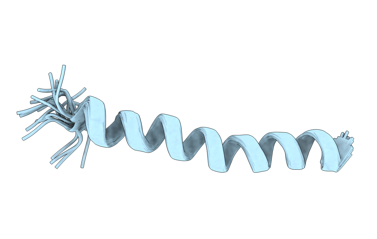 2RRH image