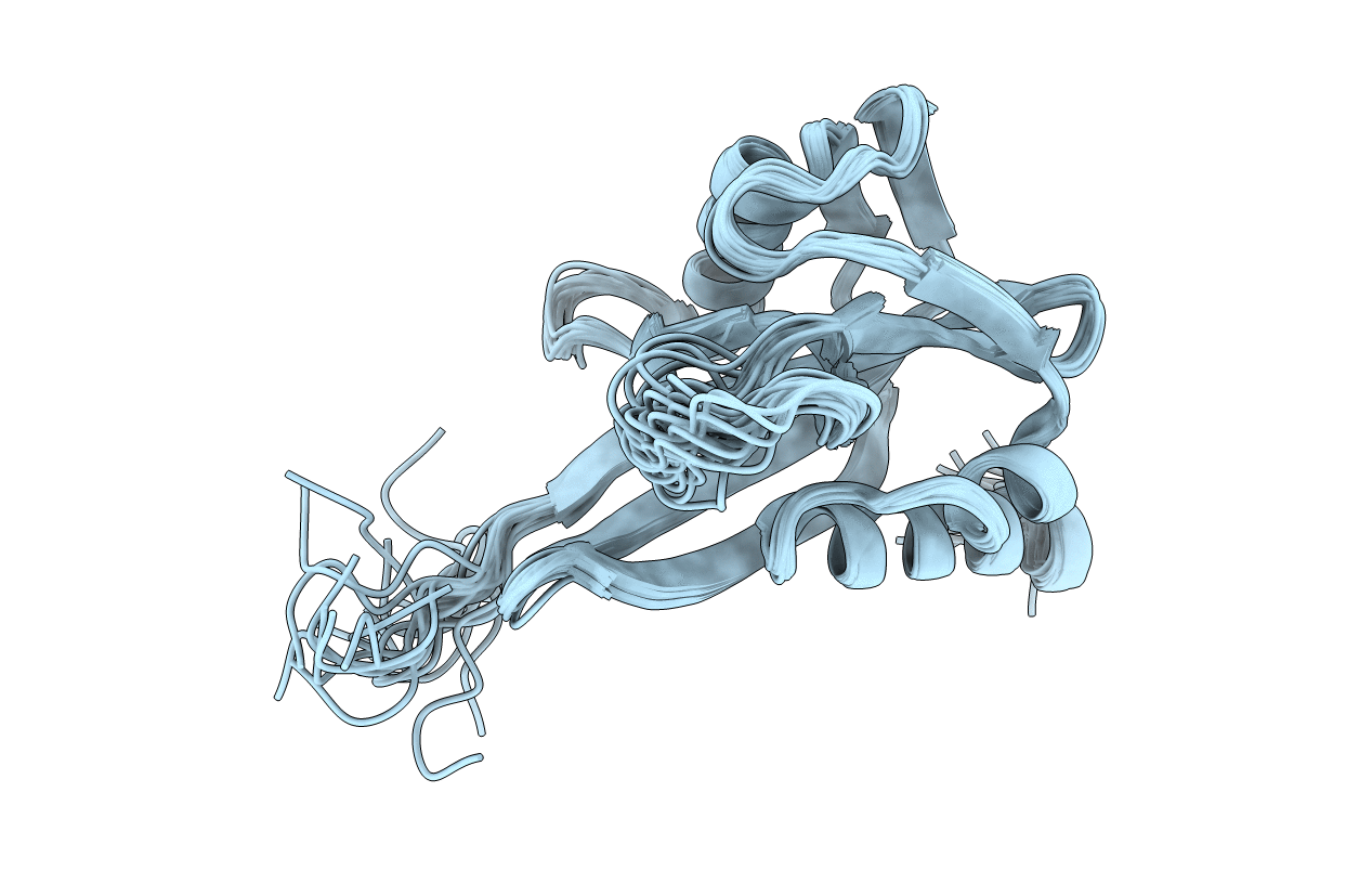 2RRK image