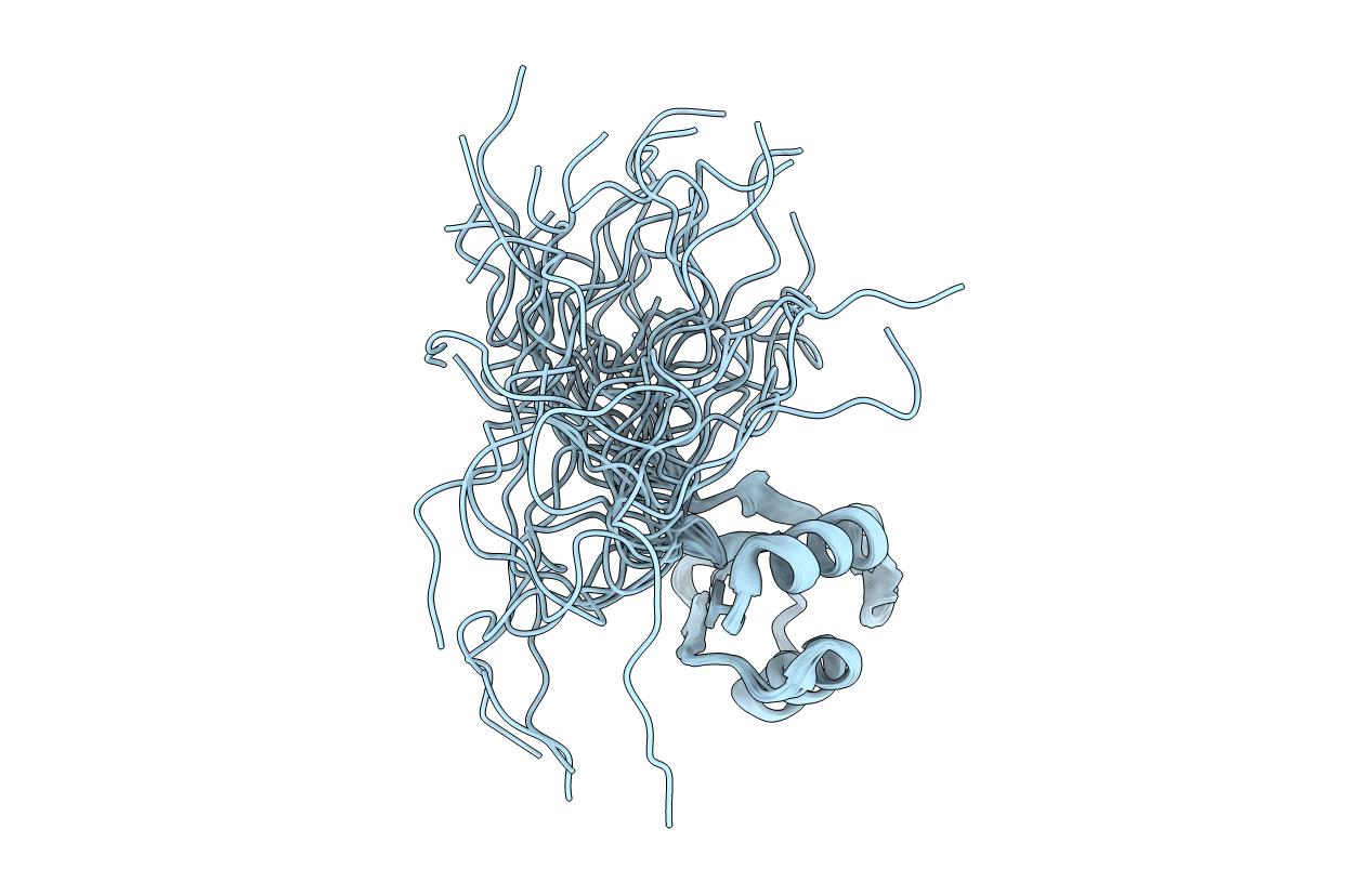 2RS8 image