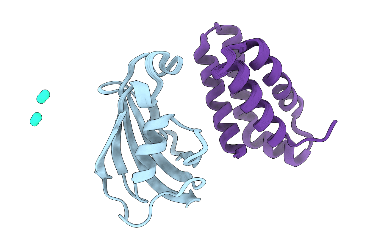 2RSE image