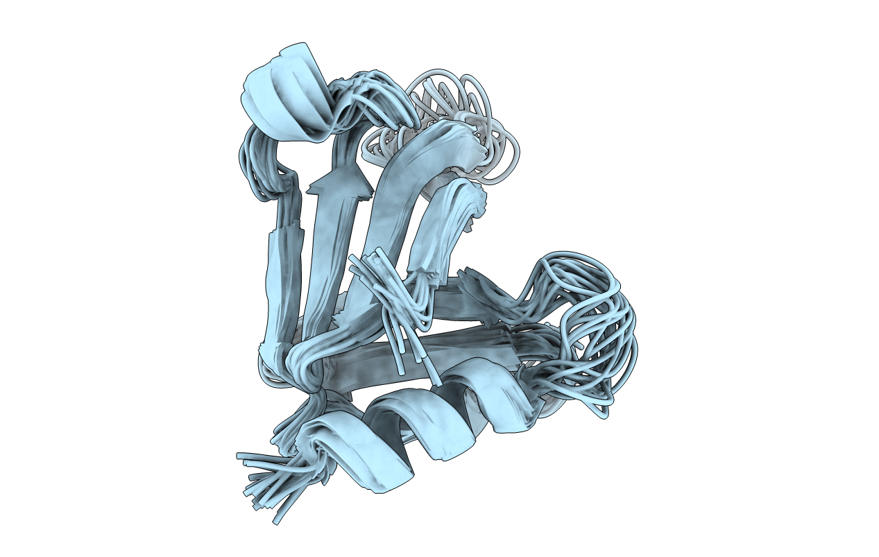 2RSG image